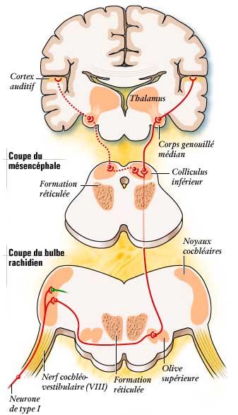 figure15.JPG