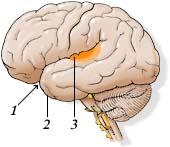 figure16.JPG