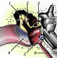figure18.JPG