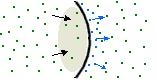 figure7.JPG